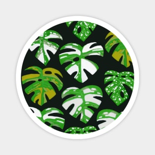 Variegated Monstera Pattern in Gouache-Dark Magnet